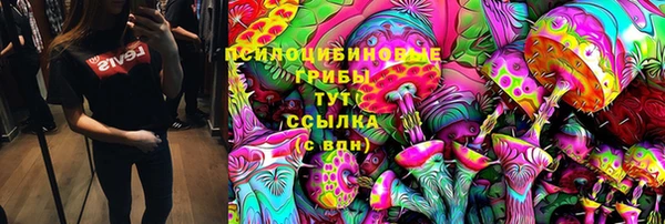 ешки Абаза