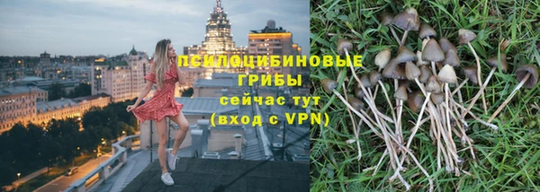 ешки Абаза