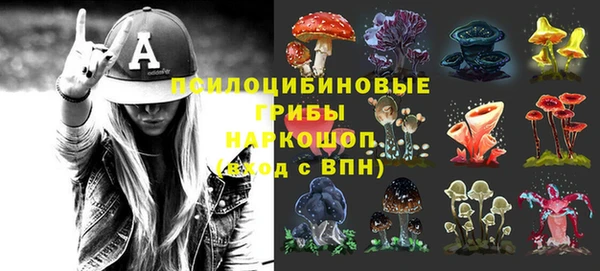 сатива Абдулино