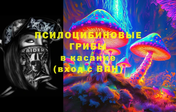 сатива Абдулино