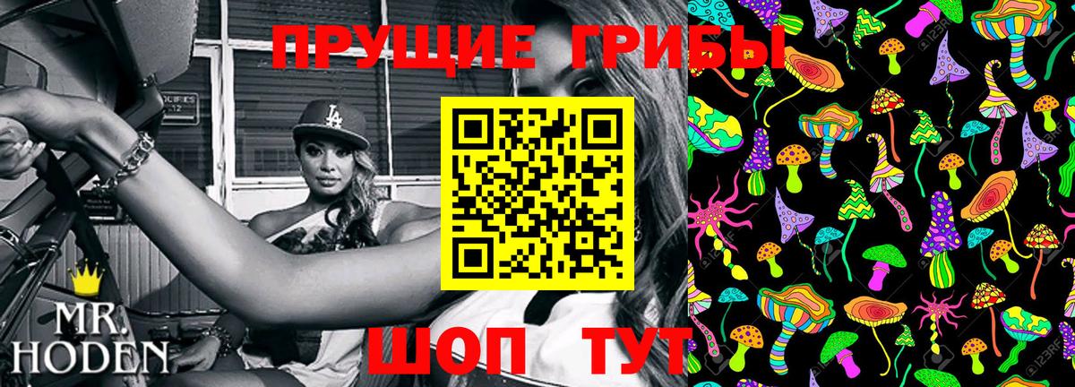Кинешма  Псилоцибиновые грибы мицелий  что такое наркотик  Вход с VPN 